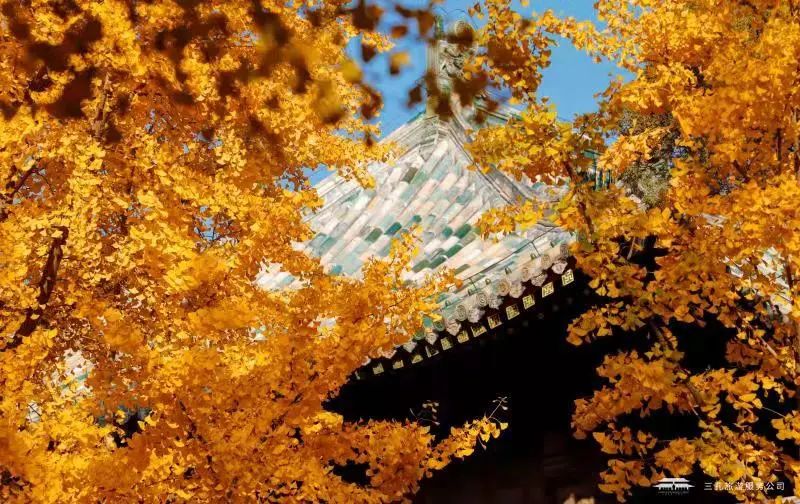 繽紛三孔 | 多彩秋日游，享受視覺盛宴！一起“趣”三孔吧