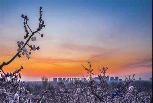 關(guān)于中央、省、市出臺的促進企業(yè)復(fù)工復(fù)產(chǎn) 政策及主要內(nèi)容解讀