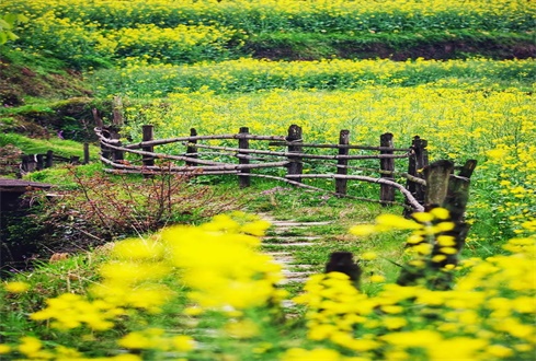 扎實(shí)做好“六穩(wěn)”“六?！惫ぷ?促進(jìn)經(jīng)濟(jì)秩序加快恢復(fù)轉(zhuǎn)型發(fā)展加力提速