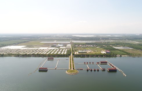 南陽(yáng)湖農(nóng)場(chǎng)發(fā)揮優(yōu)勢(shì)全面發(fā)力多點(diǎn)突破  向著生態(tài)科技農(nóng)企美好前景砥礪前行