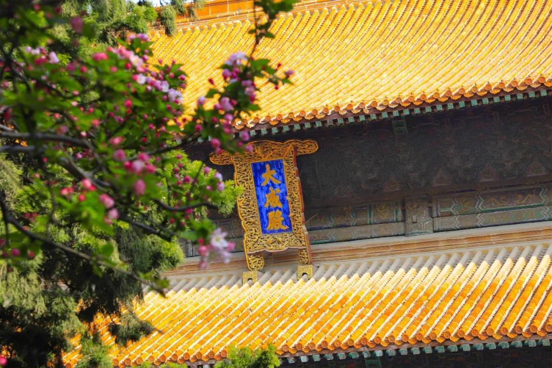 五一出游攻略 | 孔子文旅集團(tuán)這些景區(qū)歡迎打卡！