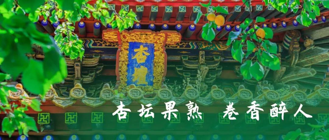 三孔及第杏熟日，學(xué)子金榜題名時