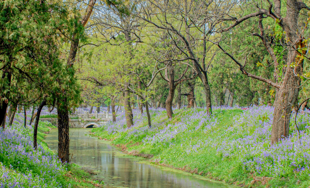 【端午攻略】小長假在三孔景區(qū)樂享闔家美好假日